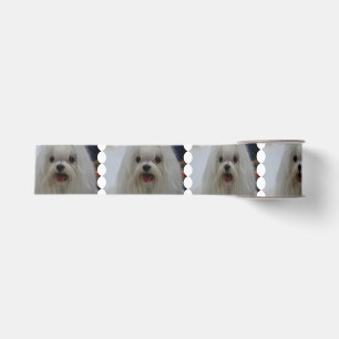 White Maltese Dog Grosgrain Ribbon