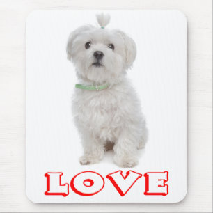 White Maltese Puppy Dog Canine Mouse Pad