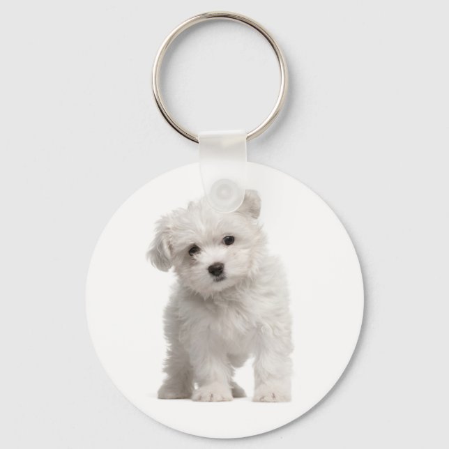 White Maltese Puppy Dog Love Custom Keychain (Front)