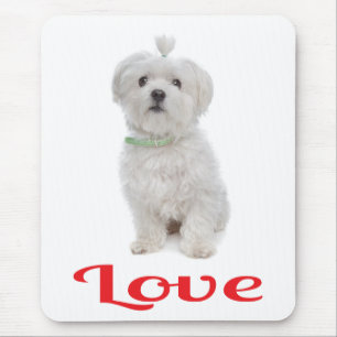 White Maltese Puppy Dog Mouse Pad