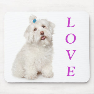 White Maltese Puppy Dog Mouse Pad