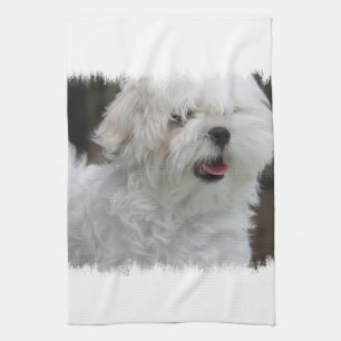 White Maltese Puppy Kitchen Towel