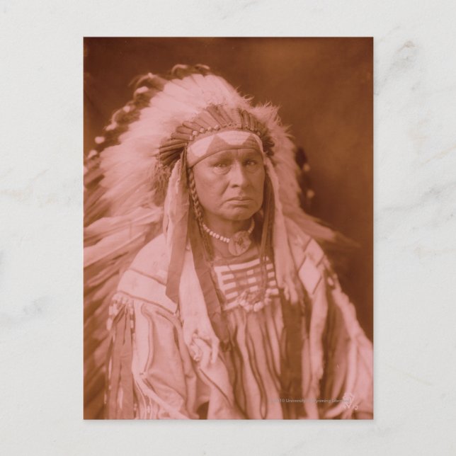 White Man Runs Him - Crow Postcard (Front)