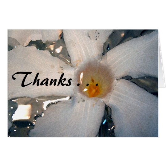 White Mandevilla card