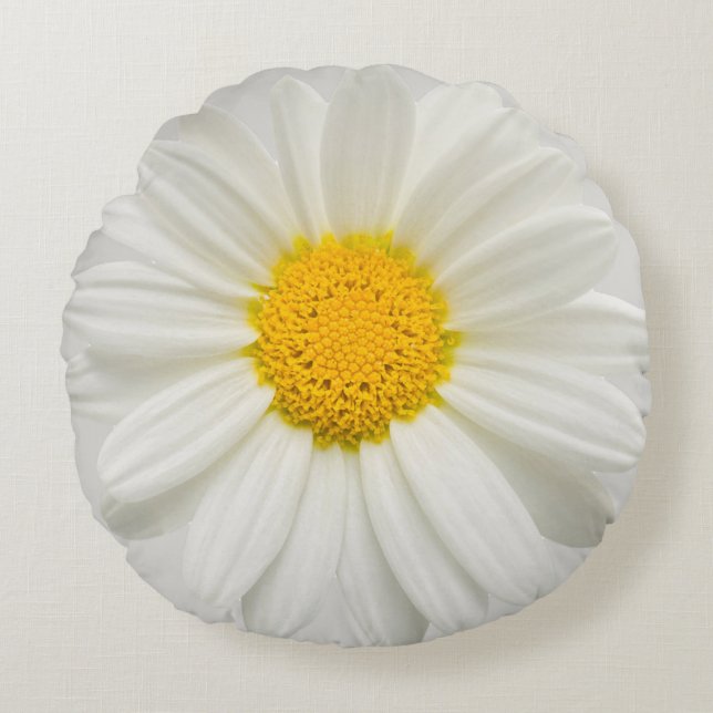 White Marguerite Daisy Chrysanthemum Round Pillow (Front)