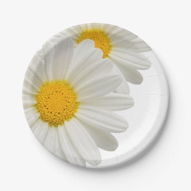 White Marguerite Daisy Paper Party Picnic Plates (Front)