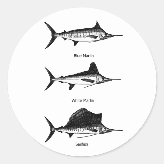 White Marlin - Blue Marlin - Sailfish Logo Classic Round Sticker (Front)