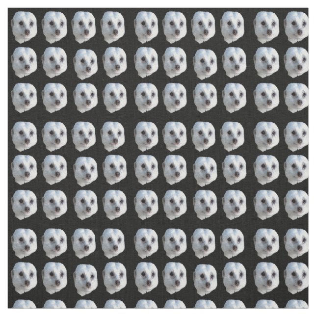 White Meerkat Faces On Black, Fabric (Swatch)