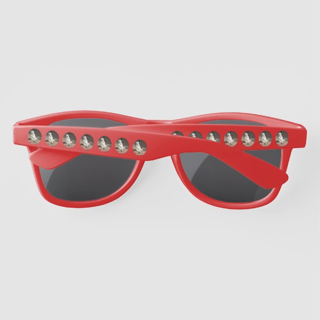 White Meerkat In Circles, Sumglasses Sunglasses (Back)