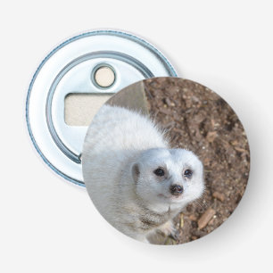 White_Meerkat Looking, Magnetic Bottle Opener