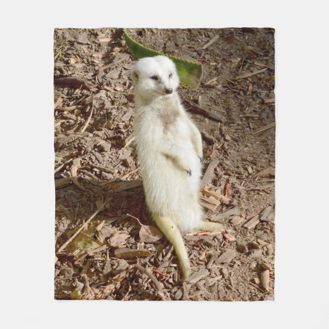 White Meerkat, Medium Fleece Blanket. Blanket (Front)