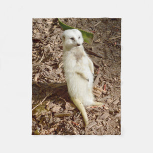 White Meerkat, Small Fleece Blanket. Blanket