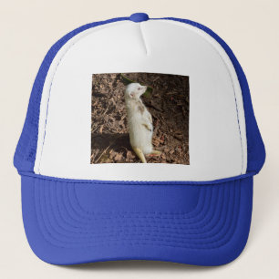 White Meerkat Standing, Trucker Hat