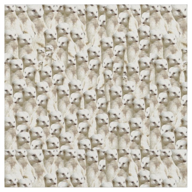 White Meerkats, Fabric (Close Up)