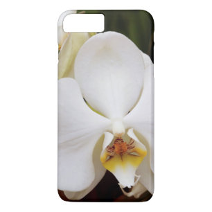 White Moon Orchid (Phalaenopsis Aphrodite) iPhone 8 Plus/7 Plus Case