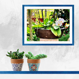 White Moon Orchid  Poster
