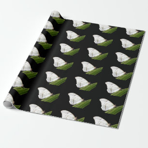 White Morpho butterfly on leaf Wrapping Paper