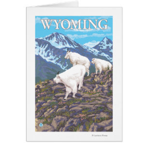 White Mountain Goat FamilyWyoming