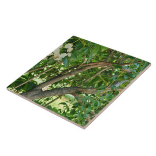 White Mountain Laurel Branches Ceramic Tile