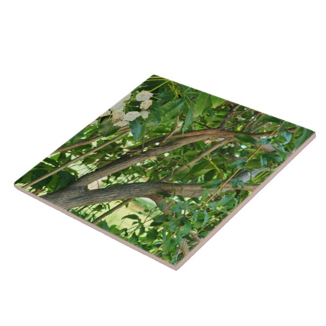 White Mountain Laurel Branches Ceramic Tile (Side)