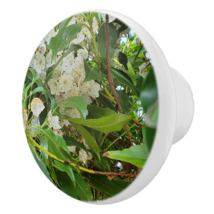 White Mountain Laurel Ceramic Knob