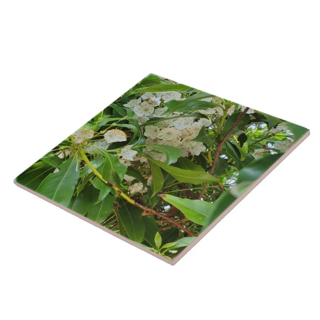 White Mountain Laurel Ceramic Tile (Side)