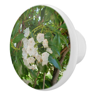 White Mountain Laurel Green Leaves Ceramic Knob