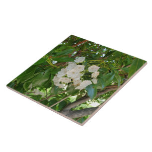 White Mountain Laurel Leaves at Sundown Ceramic Tile