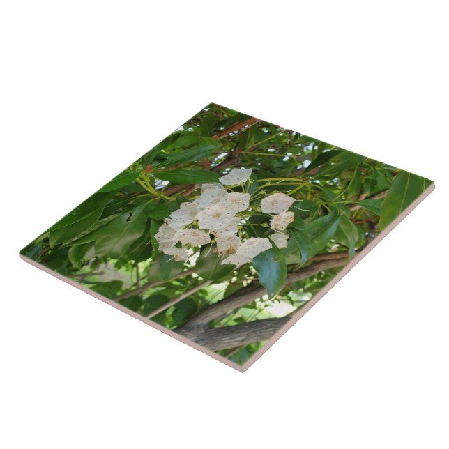 White Mountain Laurel Leaves at Sundown Ceramic Tile (Side)
