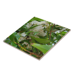White Mountain Laurel Leaves Ceramic Tile