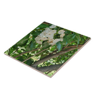 White Mountain Laurel Shrub Branches Ceramic Tile
