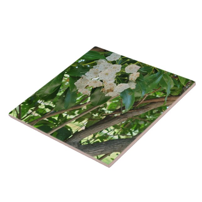 White Mountain Laurel Shrub Branches Ceramic Tile (Side)