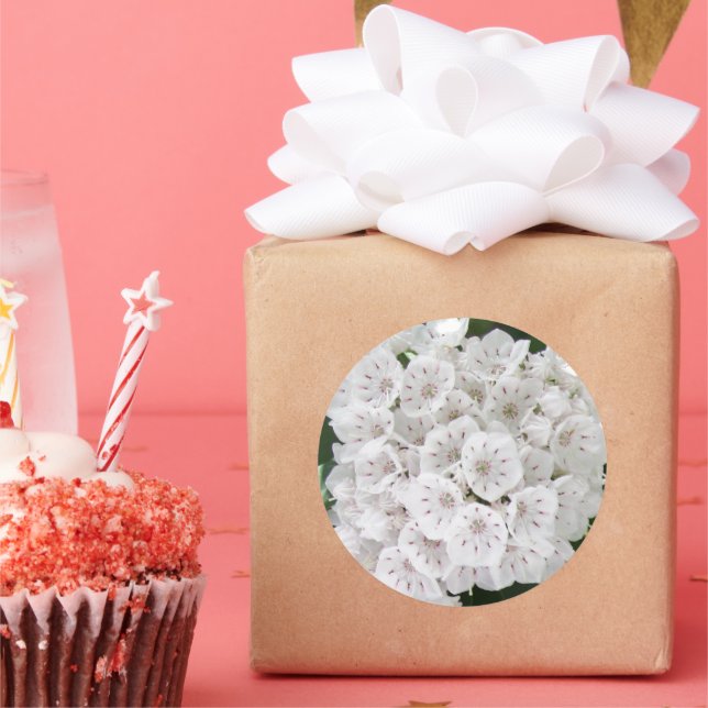 White Mountain Laurel Star Shaped Flowers Classic Round Sticker (Party)