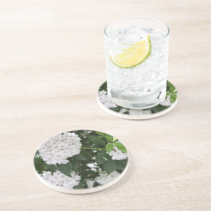 White Mountain Laurel Star Shaped Flowers Coaster