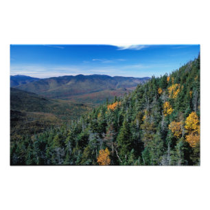 White Mountain N.F., NH. The view from near Photo Print