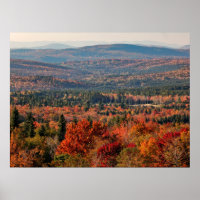 White Mountains National Forest | New Hampshire
