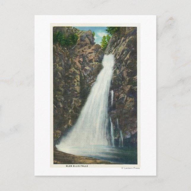 White Mountains Nat'l Forest Postcard (Front)