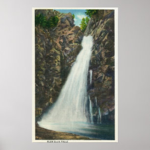 White Mountains Nat'l Forest Poster