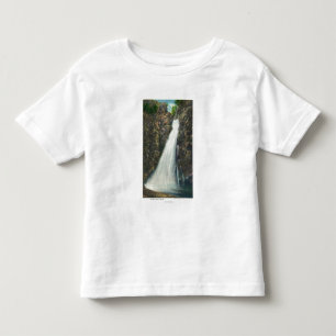 White Mountains Nat'l Forest Toddler T-Shirt