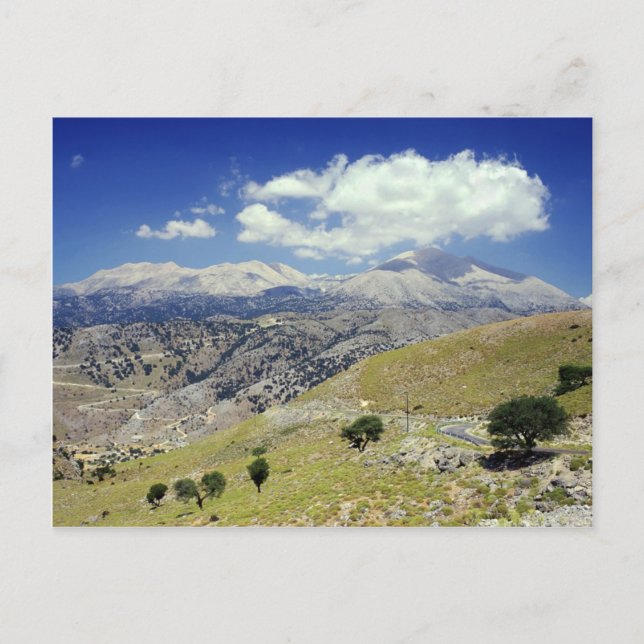 White Mountains Postcard (Front)