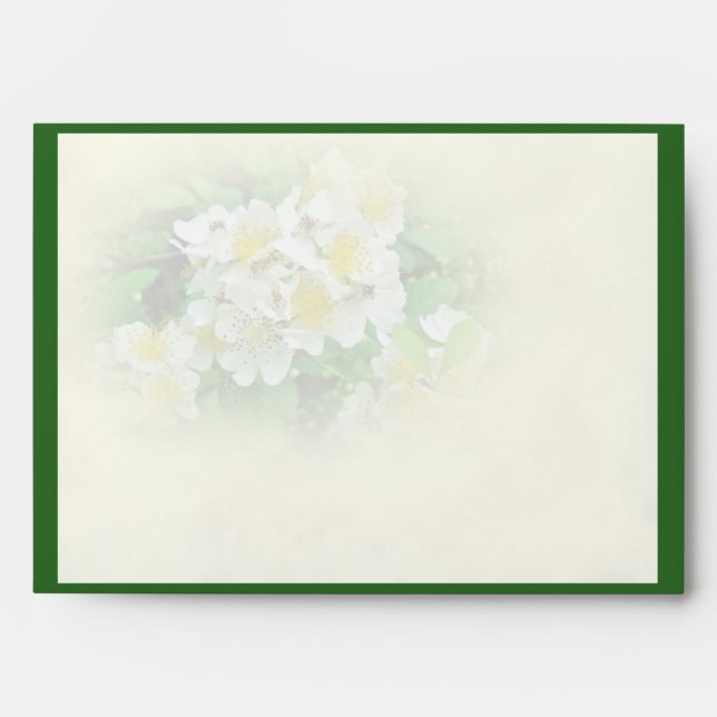 White Multiflora Roses Wildflower Envelopes (Front)