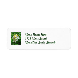 White Multiflora Roses Wildflower Return Address Label