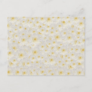 White Mums Postcard
