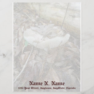 White Mushroom Coordinating Items Letterhead Template