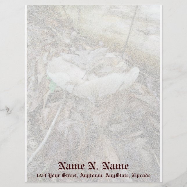 White Mushroom Coordinating Items Letterhead Template (Front)