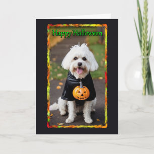 White Mutt in Costume Halloween Card