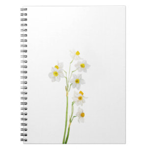 white narcissus watercolor flower notebook
