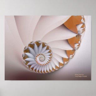 White Nautilus Abstract Seashell Fine Fractal Poster