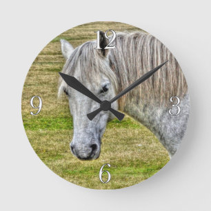 White New Forest Pony Wild Horse Round Clock