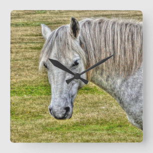 White New Forest Pony Wild Horse Square Wall Clock